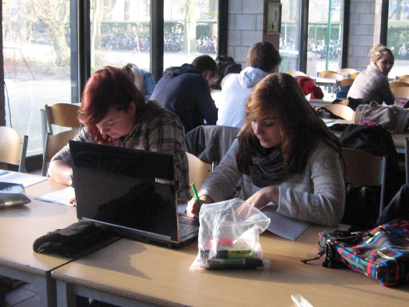 Onderwijsloopbaan – studiekeuze