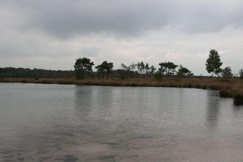 Uitstap ecologie Kalmthoutse Heide