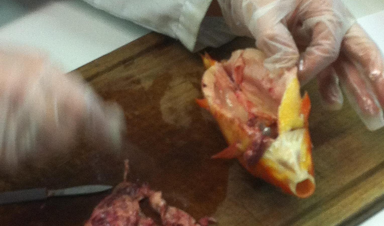 Aan tafel met mes en … mes