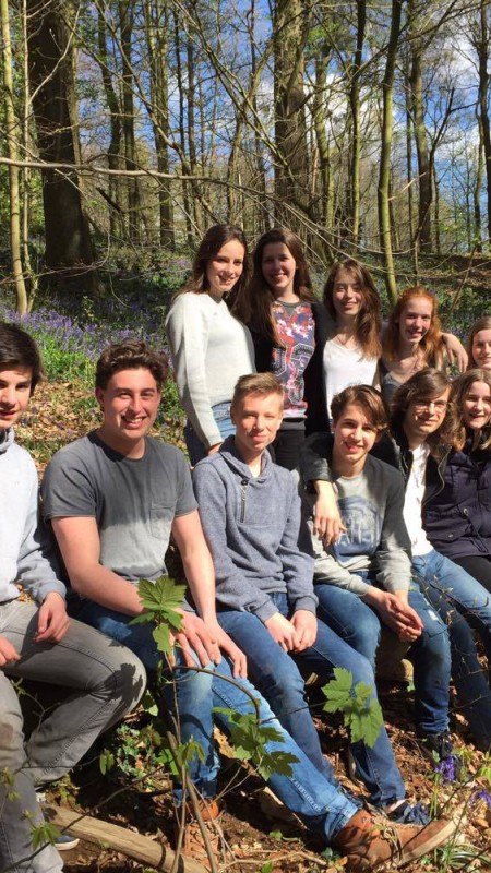 Peer Mediation-weekend